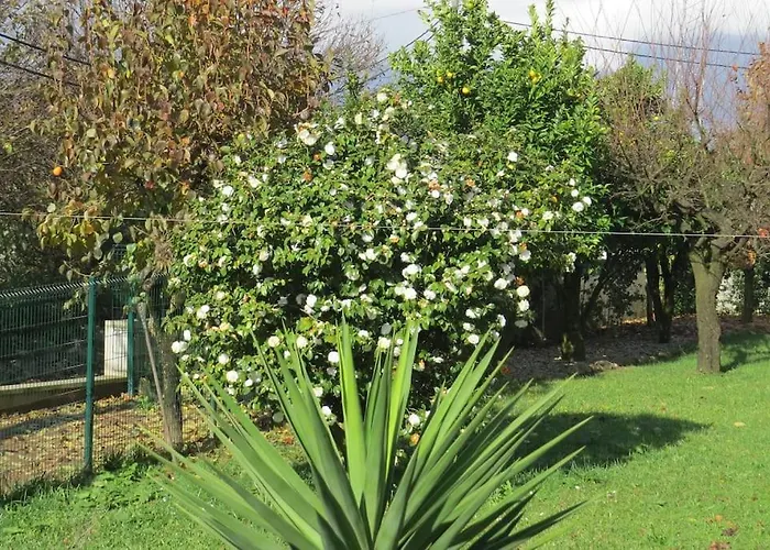 Apartamento Sweet - 4 *